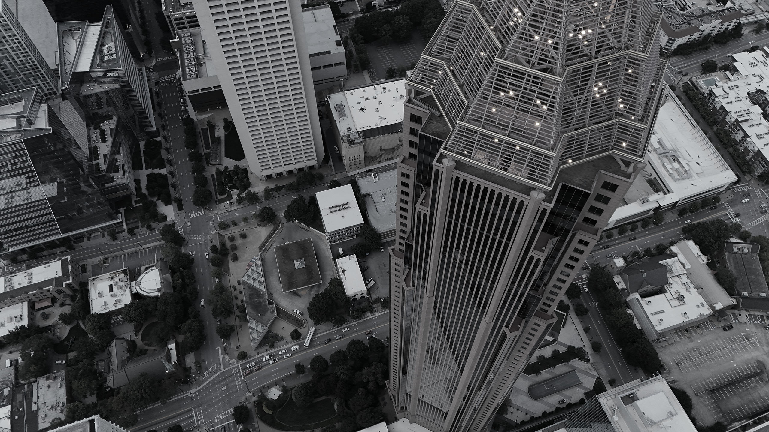 The Moses Firm - 3490 Piedmont Rd NE #1206, Atlanta, GA 30305